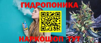 стаф Свободный