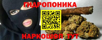 стаф Свободный
