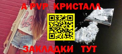 стаф Свободный